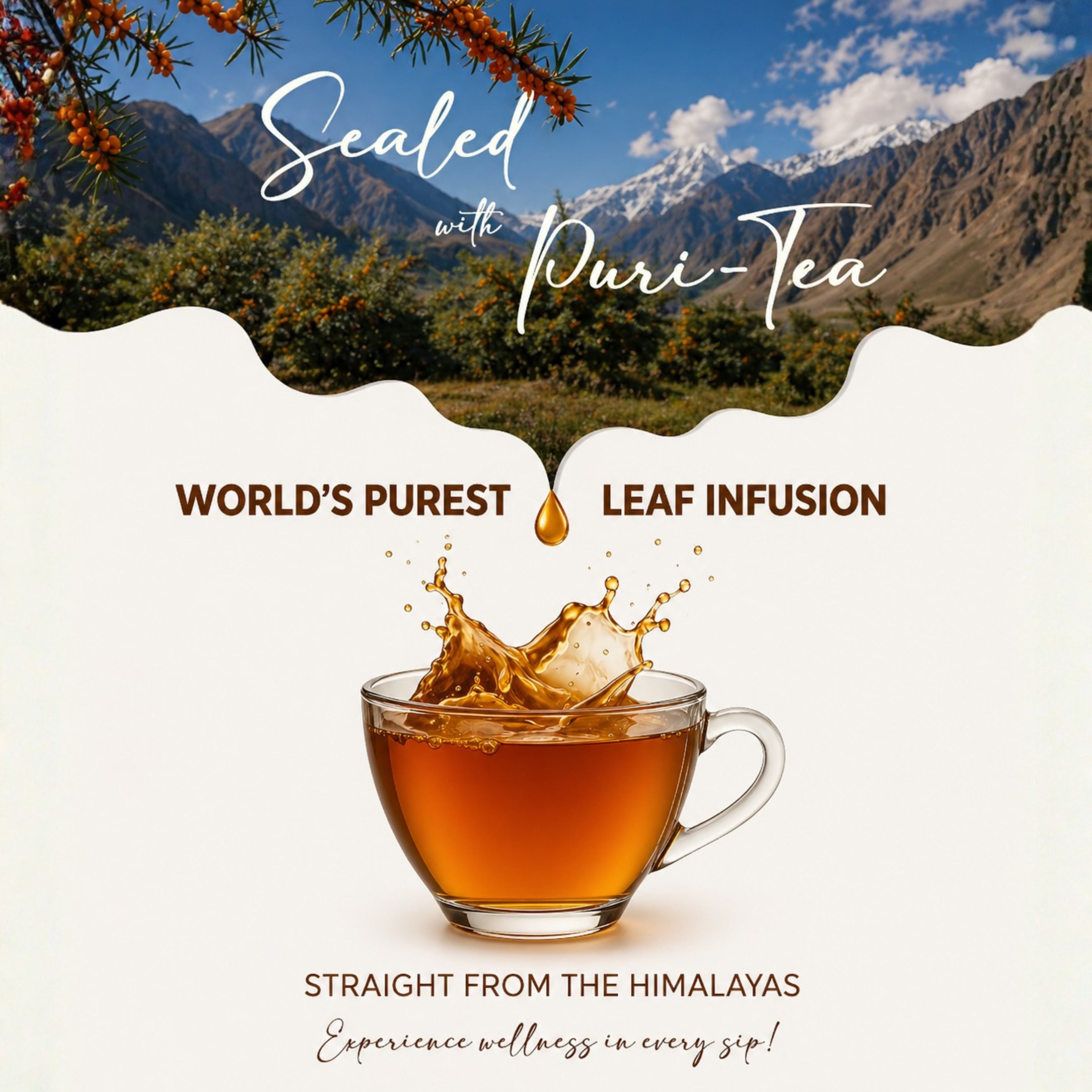 Himaleh Sea Buckthorn Raw Leaves Tea