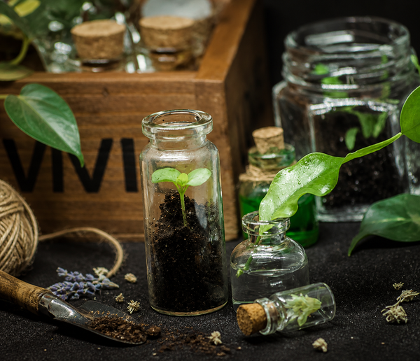 Science backed ayurveda